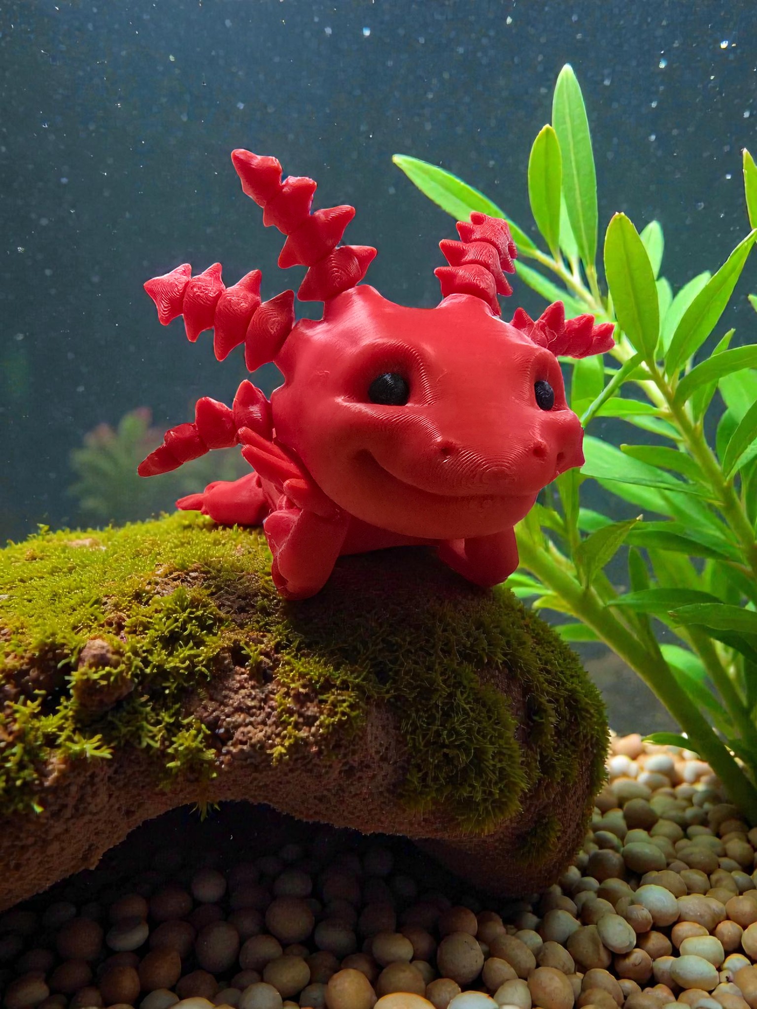 Axolotl thumbnail